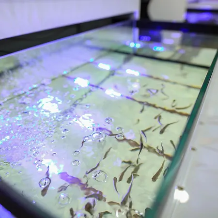 Emin Kocak Termal & - Convention Center 5* Mustafapaşa