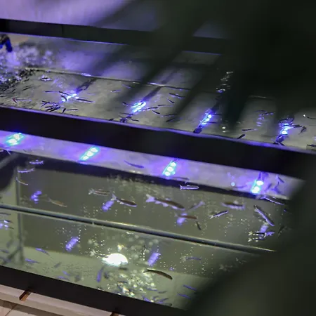 Emin Kocak Termal & - Convention Center Mustafapaşa