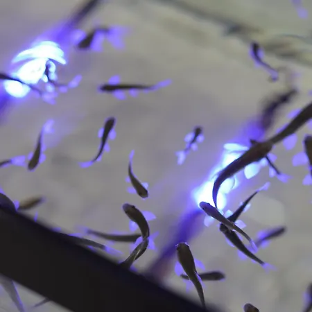 Emin Kocak Termal & - Convention Center 5*