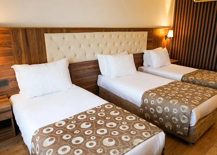 ホテル Emin Kocak Termal & - Convention Center