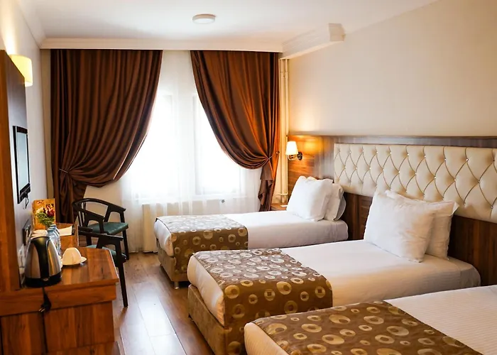 ホテル Emin Kocak Termal & - Convention Center Mustafapaşa