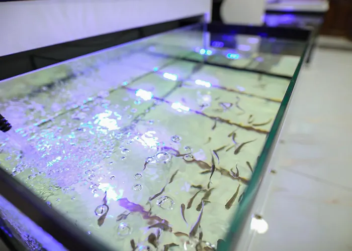 Emin Kocak Termal & - Convention Center 5* Mustafapaşa