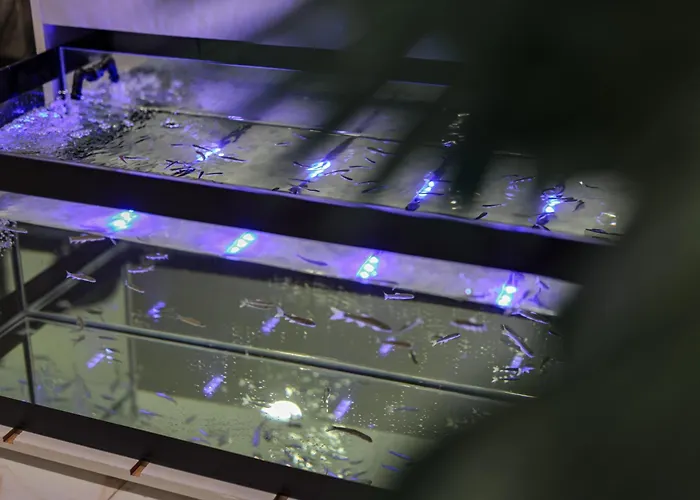 Emin Kocak Termal & - Convention Center Mustafapaşa