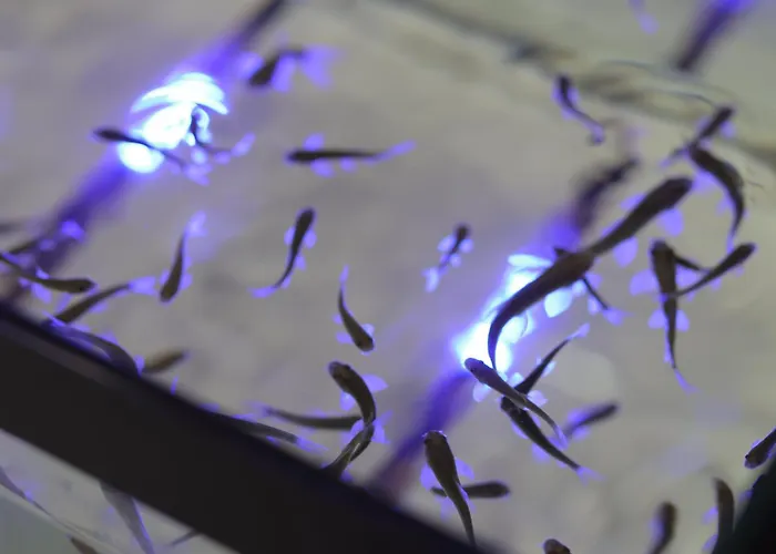 Emin Kocak Termal & - Convention Center 5*